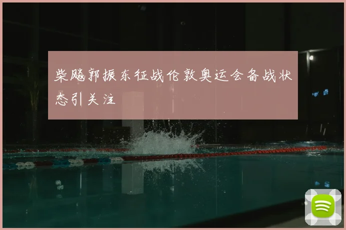 柴飚郭振东征战伦敦奥运会备战状态引关注