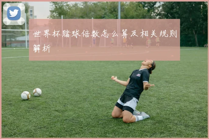 世界杯赌球倍数怎么算及相关规则解析