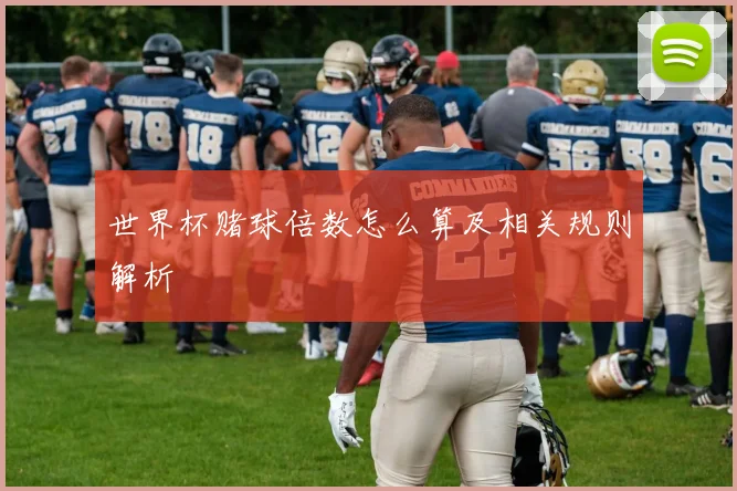 世界杯赌球倍数怎么算及相关规则解析
