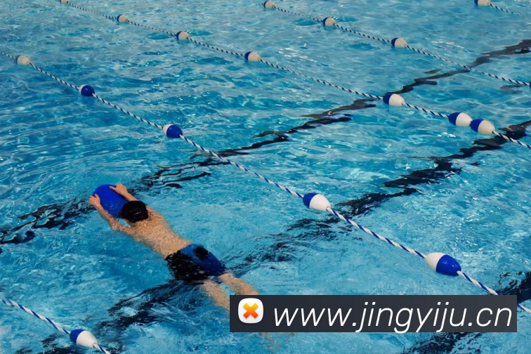 App Interface Preview